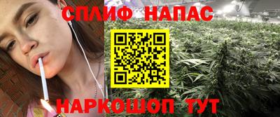 молекула духа Кулебаки