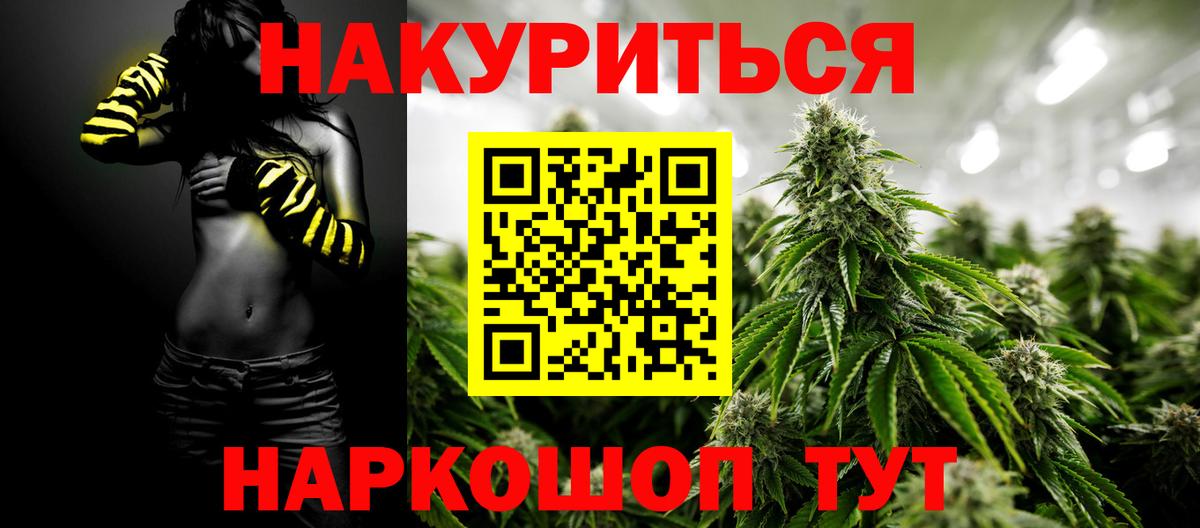 Каннабис индика Шахты